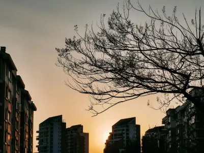 Casino Craze Play App Mobile